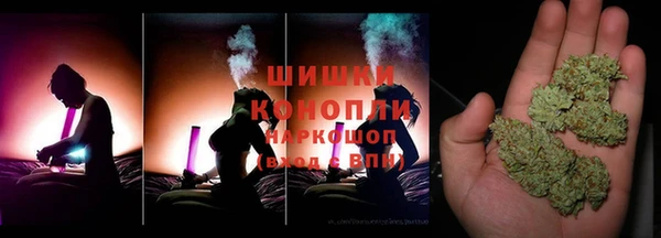 PSILOCYBIN Верхний Тагил