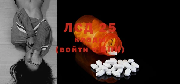 PSILOCYBIN Верхний Тагил