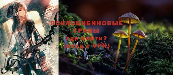 спиды Верея