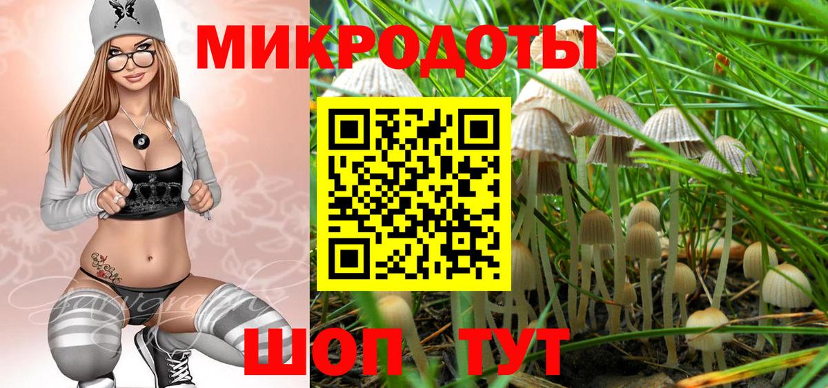 Псилоцибиновые грибы мухоморы  Псилоцибиновые грибы GOLDEN TEACHER  Моршанск  Вход с VPN 