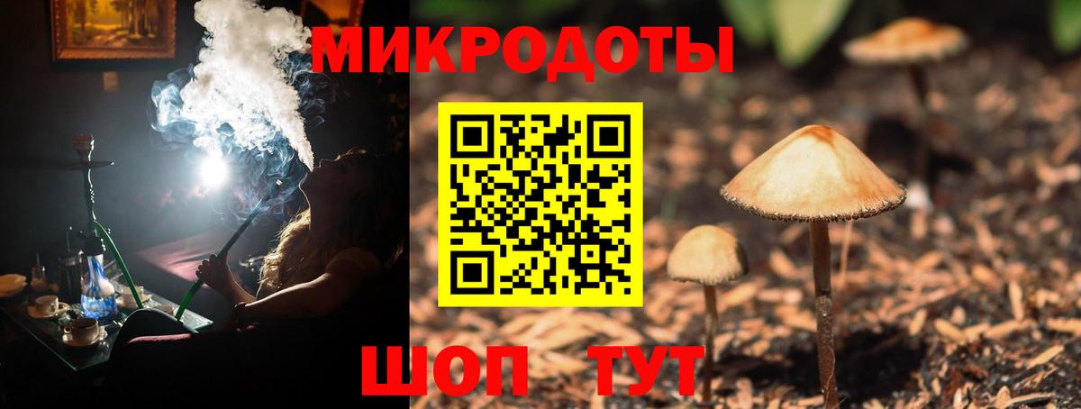 Псилоцибиновые грибы мицелий Моршанск