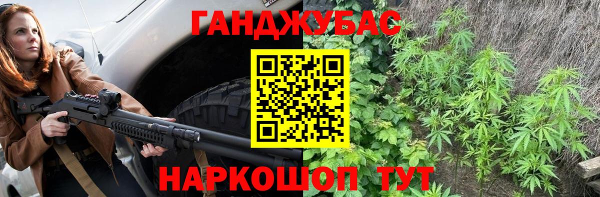Марихуана сатива  Конопля план  Бошки Шишки планчик  Вход с VPN  Моршанск 