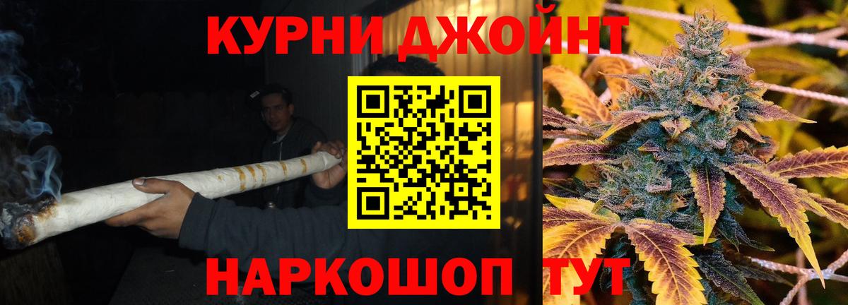 Каннабис сатива Моршанск